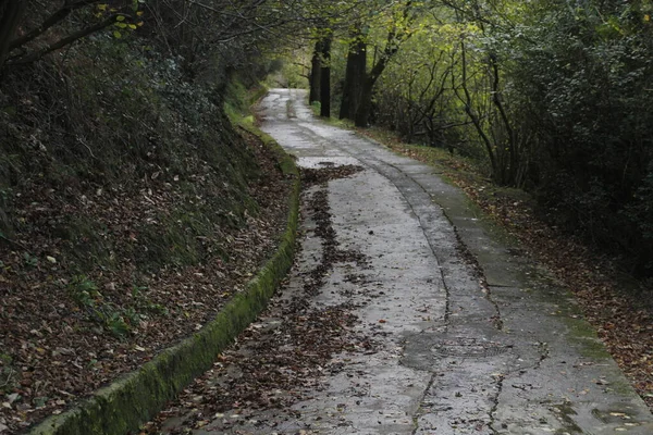 Διαδρομή Αστικό Πάρκο — Φωτογραφία Αρχείου