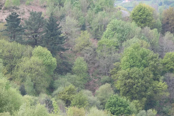 Bask Ülkesinin Kırsal Kesimi — Stok fotoğraf