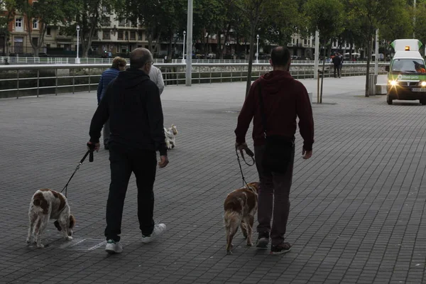 Persone Che Camminano Strada — Foto Stock