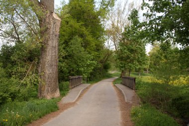 Şehir parkı manzarası