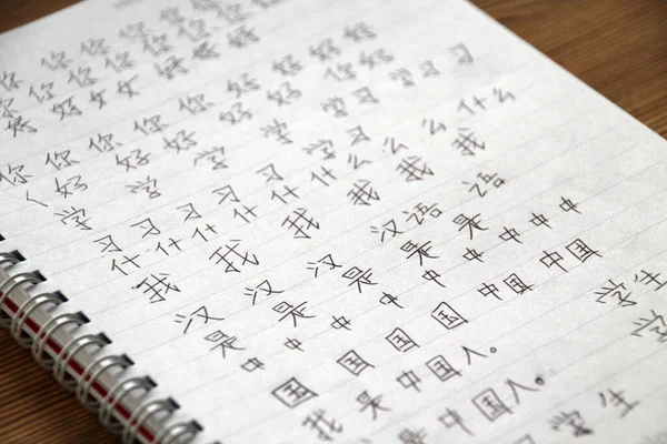 Chinesische Schrift Einem Notizbuch — Stockfoto