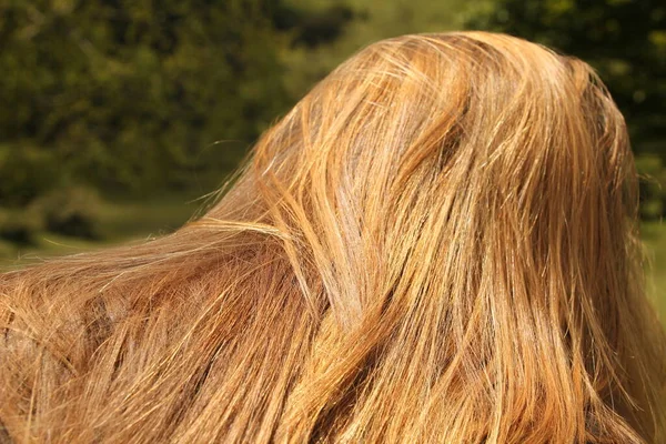 Μακριά Σκούρα Ξανθά Μαλλιά — Φωτογραφία Αρχείου