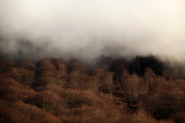 Landscape Interior Basque Country — Stock Photo, Image