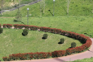 Yaz gününde şehir parkı