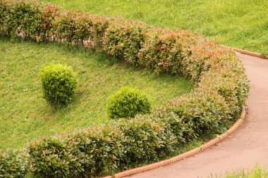 Yaz gününde şehir parkı