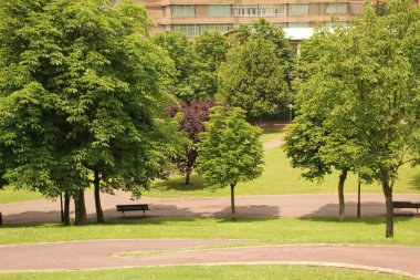 Yaz gününde şehir parkı