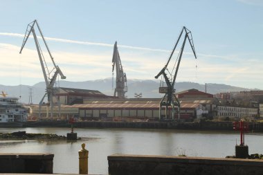 Bilbao Limanı 'nda turnalar