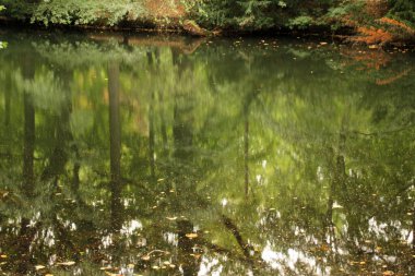 Şehir parkı manzarası