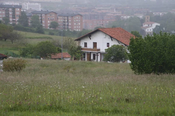 Landskap Landsbygden Baskien — Stockfoto