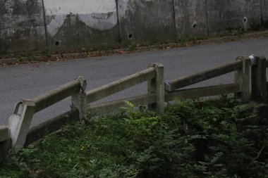 Kırsal kesimde bitki örtüsü