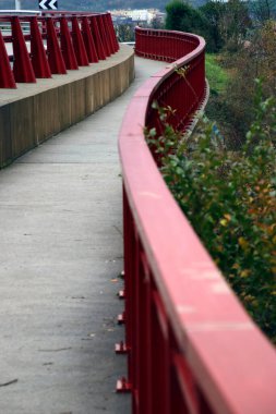 Bir şehir parkında bitki örtüsü