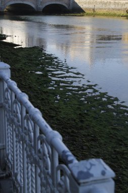 Alçak gelgit sırasında San Sebastian 'ın Estuary