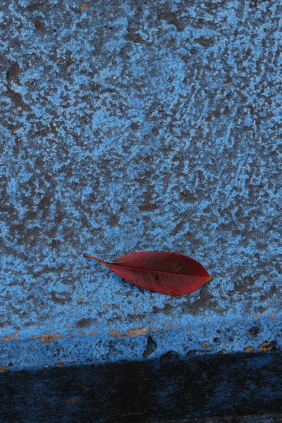 Park Einem Herbsttag — Stockfoto