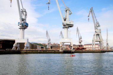 Bilbao Limanı 'nda turnalar