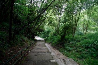Bilbao 'da bir şehir parkı manzarası