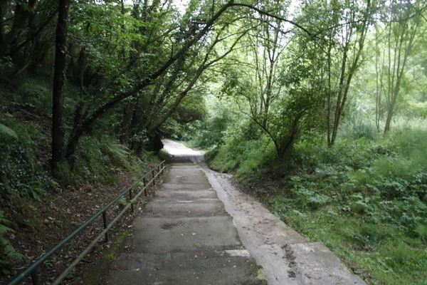 Uitzicht Een Stadspark Bilbao — Stockfoto