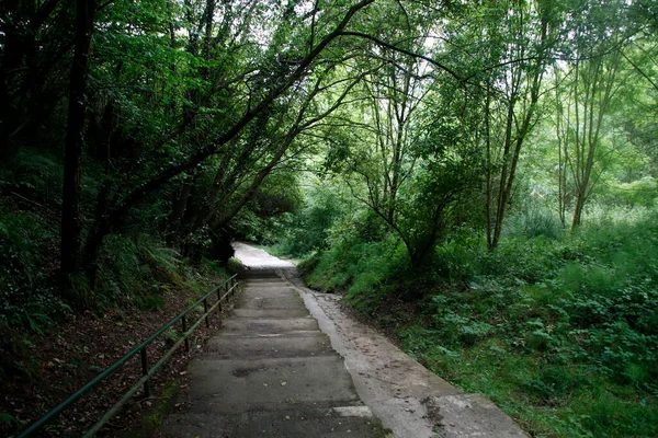 Bilbao 'da bir şehir parkı manzarası