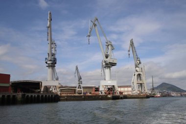 Bilbao Limanı 'nda turnalar