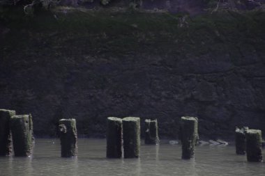 Bilbao nehrinin manzarası