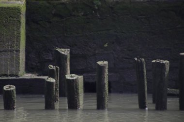 Bilbao nehrinin manzarası