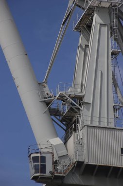 Bilbao Limanı 'nda turnalar