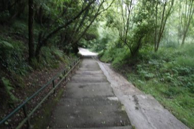 Bir şehir parkında yol