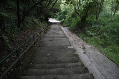 Bir şehir parkında yol