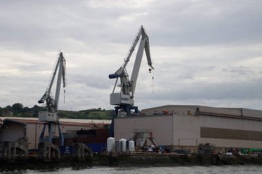 Bilbao Limanı 'nda turnalar