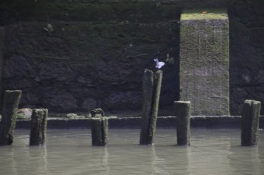 Bilbao nehrinin manzarası