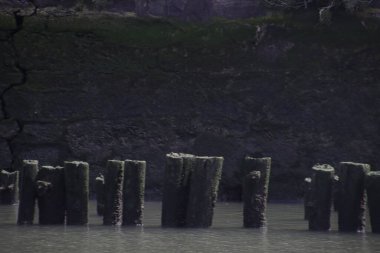 Bilbao nehrinin manzarası