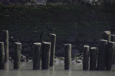 Bilbao nehrinin manzarası