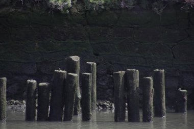 Bilbao nehrinin manzarası