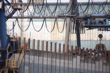 Bilbao Limanı 'nda turnalar