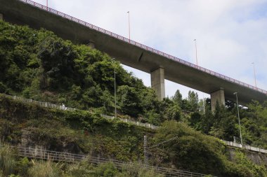 Kentsel bir çevrede bitki örtüsü