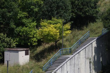 Kentsel bir çevrede bitki örtüsü