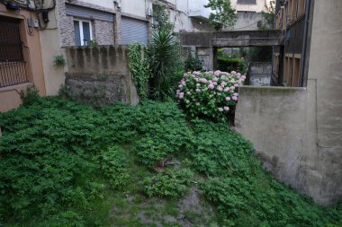 Şehirde bitki örtüsü