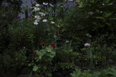 Bilbao şehrinin şehir manzarası