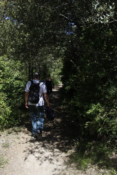 Couple hiking in the countryside