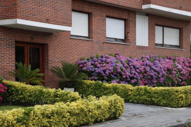 Bilbao şehrinin şehir manzarası