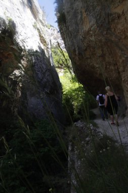 Bask ülkesinin dağlarında yürüyüş.
