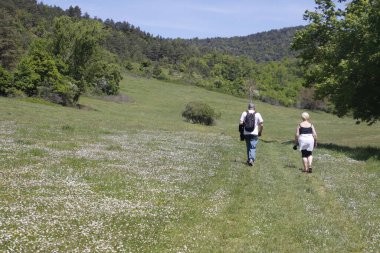 Bask ülkesinin dağlarında yürüyüş.