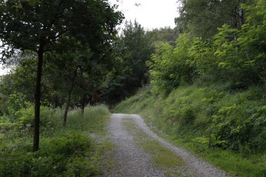 Kırsalda yürüyüş yapmak.