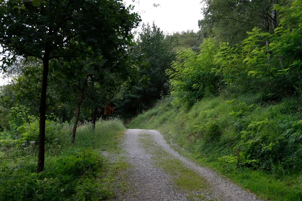 Caminhadas Campo — Fotografia de Stock