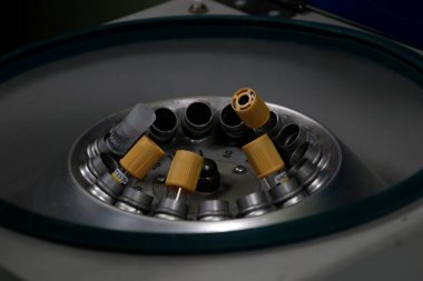 Laboratuvarda örnekler