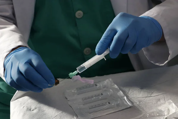 Preparing Syringe Apply Vaccine — Stock Photo, Image