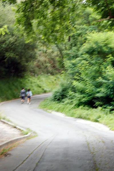 Wandelen Een Stadspark — Stockfoto