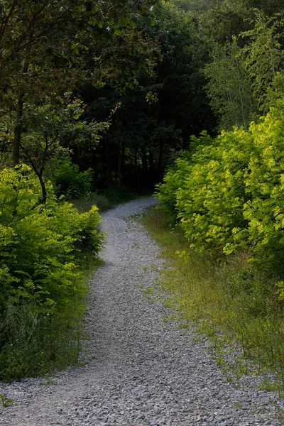 Kırsalda Yol — Stok fotoğraf