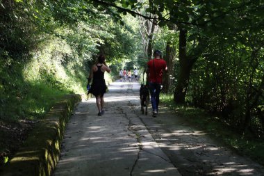 Ormanda yürüyüş.