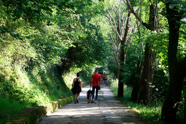 Wandern Wald — Stockfoto