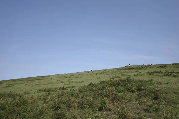 Campo País Basco — Fotografia de Stock